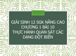 Giải Sinh 12 SGK nâng cao Chương 1 Bài 10 Thực hành Quan sát các dạng đột biến