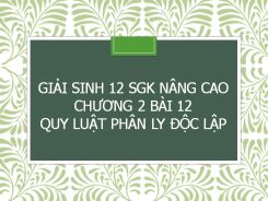 Giải Sinh 12 SGK nâng cao Chương 2 Bài 12 Quy luật phân ly độc lập