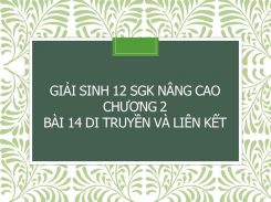 Giải Sinh 12 SGK nâng cao Chương 2 Bài 14 Di truyền và liên kết