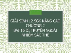 Giải Sinh 12 SGK nâng cao Chương 2 Bài 16 Di truyền ngoài nhiễm sắc thể