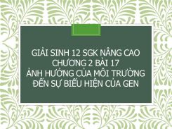 Giải Sinh 12 SGK nâng cao Chương 2 Bài 17 Ảnh hưởng của môi trường đến sự biểu hiện của gen