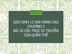 Giải Sinh 12 SGK nâng cao Chương 3 Bài 20 Cấu trúc di truyền của quần thể