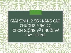 Giải Sinh 12 SGK nâng cao Chương 4 Bài 22 Chọn giống vật nuôi và cây trồng
