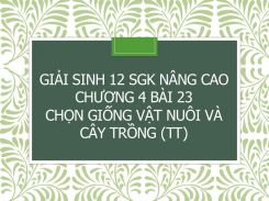 Giải Sinh 12 SGK nâng cao Chương 4 Bài 23 Chọn giống vật nuôi và cây trồng (tt)