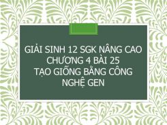 Giải Sinh 12 SGK nâng cao Chương 4 Bài 25 Tạo giống bằng công nghệ gen