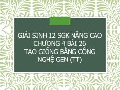 Giải Sinh 12 SGK nâng cao Chương 4 Bài 26 Tạo giống bằng công nghệ gen(tt)