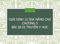 Giải Sinh 12 SGK nâng cao Chương 5 Bài 28 Di truyền y học