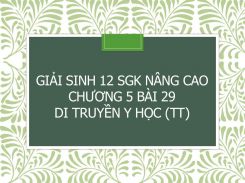 Giải Sinh 12 SGK nâng cao Chương 5 Bài 29 Di truyền y học (tt)