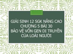 Giải Sinh 12 SGK nâng cao Chương 5 Bài 30 Bảo vệ vốn gen di truyền của loài người