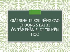 Giải Sinh 12 SGK nâng cao Chương 5 Bài 31 Ôn tập phần 5: Di truyền học