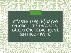 Giải Sinh 12 SGK nâng cao Chương 1 - Tiến hóa Bài 34 Bằng chứng tế bào học và sinh học phân tử