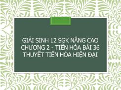 Giải Sinh 12 SGK nâng cao Chương 2 - Tiến hóa Bài 36 Thuyết tiến hóa hiện đại