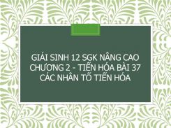 Giải Sinh 12 SGK nâng cao Chương 2 - Tiến hóa Bài 37 Các nhân tố tiến hóa