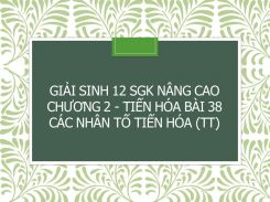 Giải Sinh 12 SGK nâng cao Chương 2 - Tiến hóa Bài 38 Các nhân tố tiến hóa (tt)
