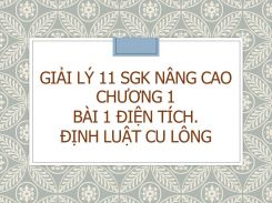 Giải Lý 11 SGK nâng cao Chương 1 Bài 1 Điện tích. Định luật Cu lông