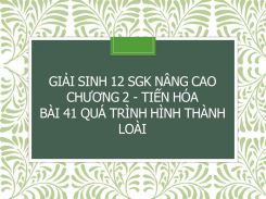 Giải Sinh 12 SGK nâng cao Chương 2 - Tiến hóa Bài 41 Quá trình hình thành loài