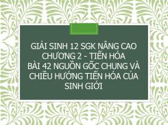 Giải Sinh 12 SGK nâng cao Chương 2 - Tiến hóa Bài 42 Nguồn gốc chung và chiều hướng tiến hóa của sinh giới