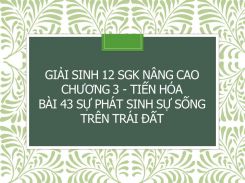 Giải Sinh 12 SGK nâng cao Chương 3 - Tiến hóa Bài 43 Sự phát sinh sự sống trên Trái Đất