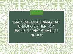 Giải Sinh 12 SGK nâng cao Chương 3 - Tiến hóa Bài 45 Sự phát sinh loài người