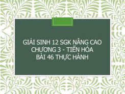 Giải Sinh 12 SGK nâng cao Chương 3 - Tiến hóa Bài 46 Thực hành
