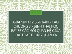 Giải Sinh 12 SGK nâng cao Chương 3 - Sinh thái học Bài 56 Các mối quan hệ giữa các loài trong quần xã
