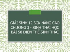 Giải Sinh 12 SGK nâng cao Chương 3 - Sinh thái học Bài 58 Diễn thế sinh thái