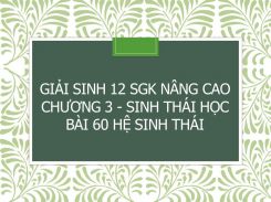Giải Sinh 12 SGK nâng cao Chương 4 - Sinh thái học Bài 60 Hệ sinh thái