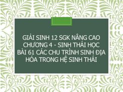 Giải Sinh 12 SGK nâng cao Chương 4 - Sinh thái học Bài 61 Các chu trình sinh địa hóa trong hệ sinh thái