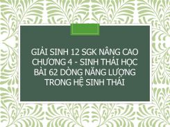 Giải Sinh 12 SGK nâng cao Chương 4 - Sinh thái học Bài 62 Dòng năng lượng trong hệ sinh thái
