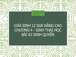 Giải Sinh 12 SGK nâng cao Chương 4 - Sinh thái học Bài 63 Sinh quyển