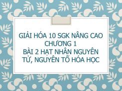 Giải Hóa 10 SGK nâng cao Chương 1 Bài 2 Hạt nhân nguyên tử, Nguyên tố hóa học