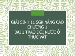 Giải Sinh 11 SGK nâng cao Chương 1 Bài 1 Trao đổi nước ở thực vật