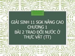 Giải Sinh 11 SGK nâng cao Chương 1 Bài 2 Trao đổi nước ở thực vật (tt)