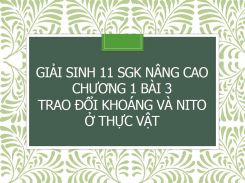 Giải Sinh 11 SGK nâng cao Chương 1 Bài 3 Trao đổi khoáng và nito ở thực vật