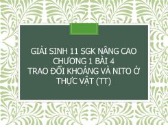 Giải Sinh 11 SGK nâng cao Chương 1 Bài 4 Trao đổi khoáng và nito ở thực vật (tt)