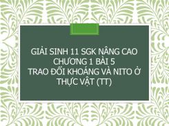 Giải Sinh 11 SGK nâng cao Chương 1 Bài 5 Trao đổi khoáng và nito ở thực vật (tt)