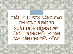 Giải Lý 11 SGK nâng cao Chương 5 Bài 39 Suất điện động cảm ứng trong một đoạn dây dẫn chuyển động