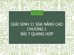 Giải Sinh 11 SGK nâng cao Chương 1 Bài 7 Quang hợp