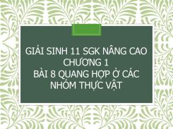 Giải Sinh 11 SGK nâng cao Chương 1 Bài 8 Quang hợp ở các nhóm thực vật