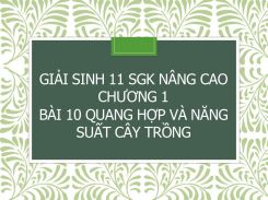 Giải Sinh 11 SGK nâng cao Chương 1 Bài 10 Quang hợp và năng suất cây trồng