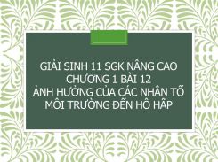 Giải Sinh 11 SGK nâng cao Chương 1 Bài 12 Ảnh hưởng của các nhân tố môi trường đến hô hấp