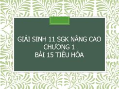 Giải Sinh 11 SGK nâng cao Chương 1 Bài 15 Tiêu hóa