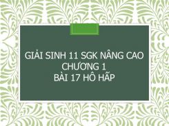 Giải Sinh 11 SGK nâng cao Chương 1 Bài 17 Hô hấp