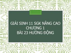 Giải Sinh 11 SGK nâng cao Chương 2 Bài 23 Hướng động