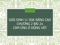 Giải Sinh 11 SGK nâng cao Chương 2 Bài 26 Cảm ứng ở động vật