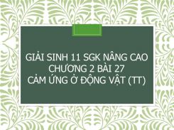 Giải Sinh 11 SGK nâng cao Chương 2 Bài 27 Cảm ứng ở động vật (tt)