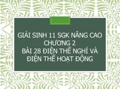 Giải Sinh 11 SGK nâng cao Chương 2 Bài 28 Điện thế nghỉ và điện thế hoạt động