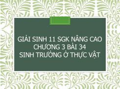 Giải Sinh 11 SGK nâng cao Chương 3 Bài 34 Sinh trưởng ở thực vật