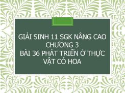 Giải Sinh 11 SGK nâng cao Chương 3 Bài 36 Phát triển ở thực vật có hoa