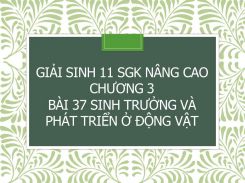 Giải Sinh 11 SGK nâng cao Chương 3 Bài 37 Sinh trưởng và phát triển ở động vật